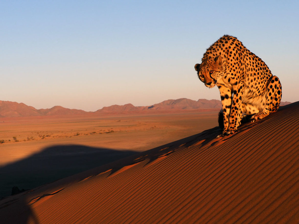 Namibia – Paradies für Fotografen