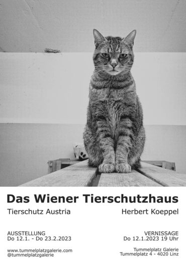 Ausstellung „Das Wiener Tierschutzhaus“