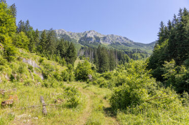 Rückblick Regionaltreffen Wildnisgebiet Dürrenstein, 15.–16. Juli 2023
